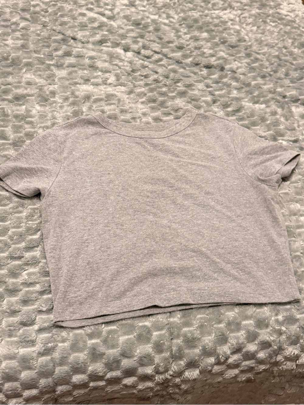 wild fable Heather Gray Crop Tee